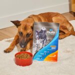 Nulo MedalSeries Adult Dog Dry Food - Salmon, Oats & Haddock - Image 8