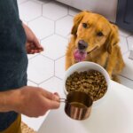 Nulo MedalSeries Adult Dry Dog Food - High-Protein, Lamb - Image 7