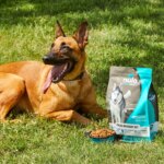 Nulo MedalSeries All Life Stages Dry Dog Food - Turkey, Grain Free - Image 9