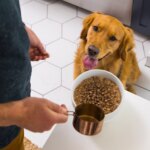 Nulo MedalSeries Baked & Coated Adult Dry Dog Food - Beef, Pork & Lamb - Image 9