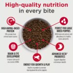 Nulo MedalSeries Large Breed Puppy Dry Dog Food - Salmon - Image 3