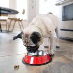 Nulo MedalSeries Small Breed Adult Dry Dog Food - Turkey - Image 7