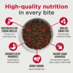 Nulo MedalSeries Small Breed All Life Stages Dry Dog Food - Salmon - Image 3