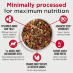 Nulo Raw+ Adult Dog Food - Freeze Dried, Grain Free, Lamb Recipe - Image 3