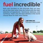 Nulo Raw+ Adult Dog Food - Freeze Dried, Grain Free, Lamb Recipe - Image 5