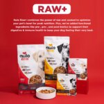 Nulo Raw+ Adult Dog Food - Freeze Dried, Grain Free, Lamb Recipe - Image 8