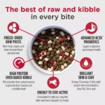 Nulo Raw Medley Adult Dog Food - Kibble Plus Freeze Dried Pieces, Salmon, Sweet Potato & Turkey - Image 3