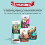 Nulo Raw Medley Adult Dog Food - Kibble Plus Freeze Dried Pieces, Salmon, Sweet Potato & Turkey - Image 8