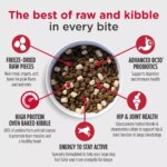 Nulo Raw Medley Kibble Plus Freeze Dried Pieces Adult Dog Food - Large Breed, Beef & Sweet Potato - Image 3