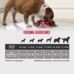 Nulo Raw Medley Kibble Plus Freeze Dried Pieces Adult Dog Food - Large Breed, Beef & Sweet Potato - Image 6