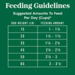 Nutro Natural Choice Adult Dry Dog Food - Salmon & Brown Rice - Image 6