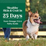 Nutro Natural Choice Adult Dry Dog Food - Salmon & Brown Rice, Small Bites - Image 4