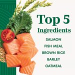 Nutro Natural Choice Adult Dry Dog Food - Salmon & Brown Rice, Small Bites - Image 5