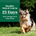 Nutro Natural Choice? Adult Dry Dog Food - Chicken & Brown Rice - Image 4