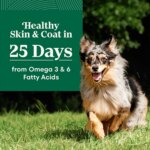 Nutro Natural Choice? Healthy Aging Senior Dry Dog Food - Chicken & Brown Rice - Image 4