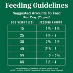 Nutro Natural Choice? Healthy Aging Senior Dry Dog Food - Lamb & Brown Rice - Image 6