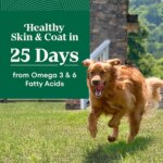 Nutro Natural Choice? Large Breed Adult Dry Dog Food - Lamb & Brown Rice - Image 4