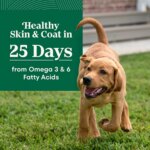 Nutro Natural Choice? Large Breed Puppy Dry Dog Food - Chicken & Brown Rice - Image 4