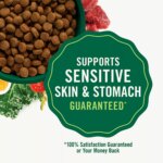 Nutro Natural Choice? Small Bites Adult Dry Dog Food - Chicken & Brown Rice - Image 3