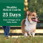 Nutro Natural Choice? Small Bites Adult Dry Dog Food - Chicken & Brown Rice - Image 4