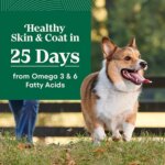 Nutro Natural Choice? Small Bites Adult Dry Dog Food - Lamb & Brown Rice - Image 4