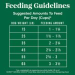 Nutro Natural Choice? Small Bites Adult Dry Dog Food - Lamb & Brown Rice - Image 6