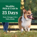 Nutro Natural Choice? Small Breed Adult Dry Dog Food - Chicken & Brown Rice - Image 4