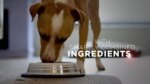ONE True Instinct Puppy Food Chicken Duck - Image 8