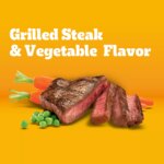 Pedigree? Complete Nutrition Adult Dry Dog Food - Steak & Vegetables - Image 3