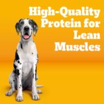 Pedigree? Complete Nutrition Large Breed Adult Dry Dog Food - Chicken, Rice & Vegetables - Image 2