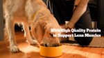 Pedigree? Complete Nutrition Large Breed Adult Dry Dog Food - Chicken, Rice & Vegetables - Image 9