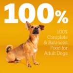 Pedigree? Complete Nutrition Small Breed Adult Dry Dog Food - Steak & Vegetables - Image 3