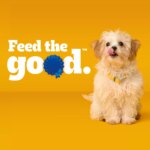 Pedigree? Growth & Protection Puppy Dry Dog Food - Healthy Development, - Image 4