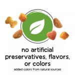 Purina Beneful Healthy Weight Adult Dog Dry Food - Chicken - Image 5