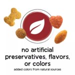 Purina Beneful Originals Adult Dog Dry Food - Farm Raised Beef - Image 5