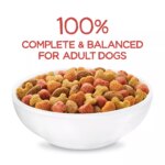 Purina Beneful Originals Adult Dog Dry Food - Natural, Salmon - Image 3