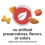 Purina Beneful Originals Adult Dog Dry Food - Natural, Salmon - Image 5