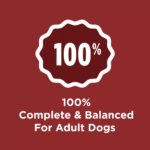 Purina Dog Chow Complete Adult Dry Dog Food - Beef - Image 4