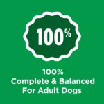 Purina Dog Chow Complete Adult Dry Dog Food - Chicken - Image 4