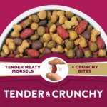 Purina Dog Chow Tender & Crunchy Dog Food Lamb and Turkey 30 LB - Image 3