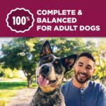 Purina Dog Chow Tender & Crunchy Dog Food Lamb and Turkey 30 LB - Image 4