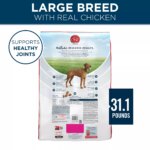 Purina ONE Plus Natural Large Breed Adult Dry Dog Food 31.1 lb - Image 2