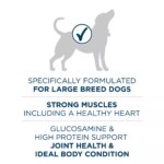 Purina ONE Plus Natural Large Breed Adult Dry Dog Food 31.1 lb - Image 5