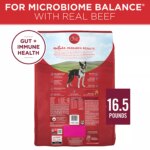 Purina ONE Small Bites Beef & Rice Adult Dry Dog Food 16.5 lb - Image 2