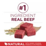 Purina ONE Small Bites Beef & Rice Adult Dry Dog Food 16.5 lb - Image 4