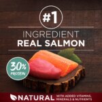 Purina ONE True Instinct Real Salmon & Tuna Adult Dry Dog Food 15 lb - Image 4