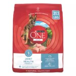 Purina ONE? +Plus Adult Dog Dry Food - Chicken, No Artificial Colors, No Artificial Flavors