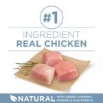 Purina ONE? +Plus Adult Dog Dry Food - Chicken, No Artificial Colors, No Artificial Flavors - Image 4