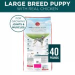 Purina ONE? +Plus Large Breed Puppy Dog Dry Food - Chicken, High-Protein, Antioxidants - Image 2