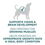 Purina ONE? +Plus Large Breed Puppy Dog Dry Food - Chicken, High-Protein, Antioxidants - Image 5